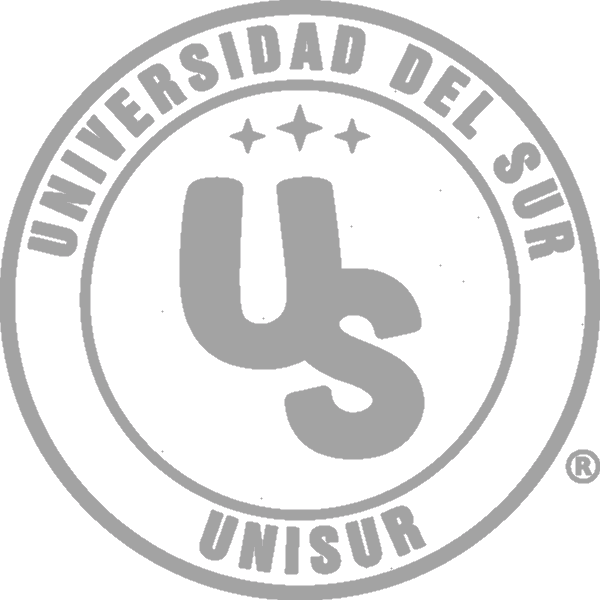 Universidad del Sur